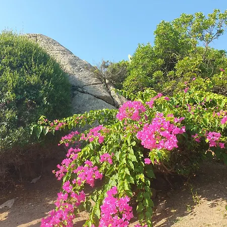 Διαμέρισμα Maria Del Mare Λα Μανταλένα